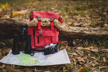 Best Wildcraft Laptop Bags: Stylish Transitions from Office to Gym