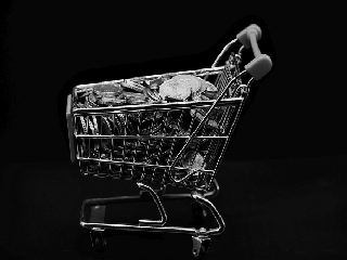 Central Bank Digital Currency Momentum Shows Growth, Study Shows