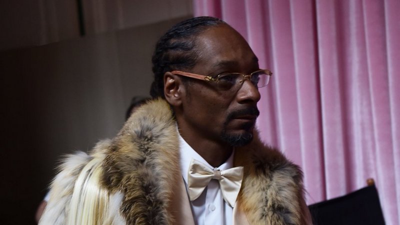 Snoop Dogg Backs Swedish Online Payments Company