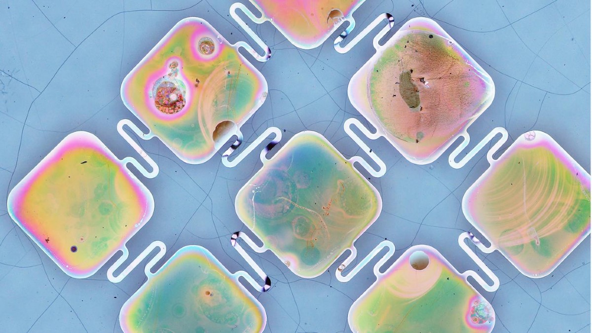 Porous Solar Cells Could Help Scientists to Develop Better Pacemakers