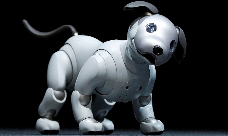 Sony Launches New AIBO Robot Dog as It Revives Pet AI Project