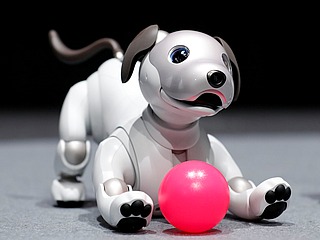 Sony Launches New AIBO Robot Dog as It Revives Pet AI Project
