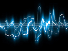 Humans Can Learn Echolocation in 10 Weeks, New Study Shows