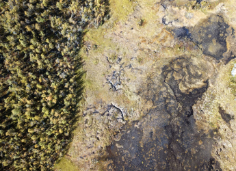 Ancient Burial Mound in Siberia Discovered With Evidence of Human Sacrifice: Study