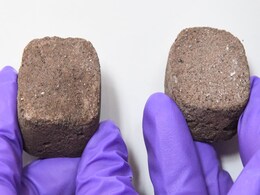 ISRO, IISc Develop Bacteria-Infused 'Space Bricks' to Build Structures on Mars ISRO, IISc Develop Bacteria-Infused 'Space Bricks' to Build Structures on Mars