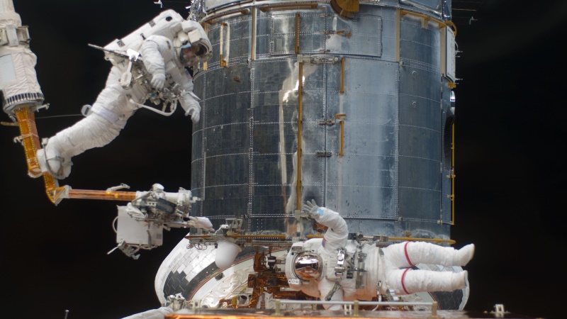 Space Travel May Alter Gene Expression, NASA Study Finds