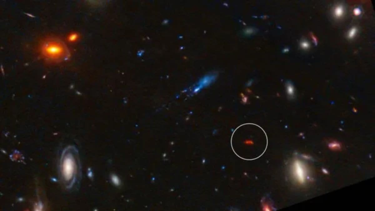 Extreme Star Factory: ALMA Detects Galaxy Y1 Forming Stars 180 Times Faster Than the Milky Way