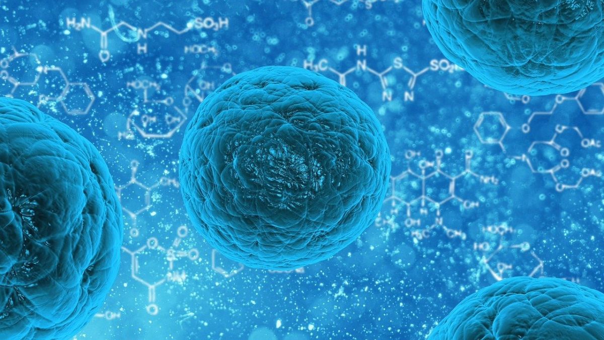 Life-Saving Stem Cells Can Be Regrown in Damaged&nbsp;Umbilical Cord, Claims Study