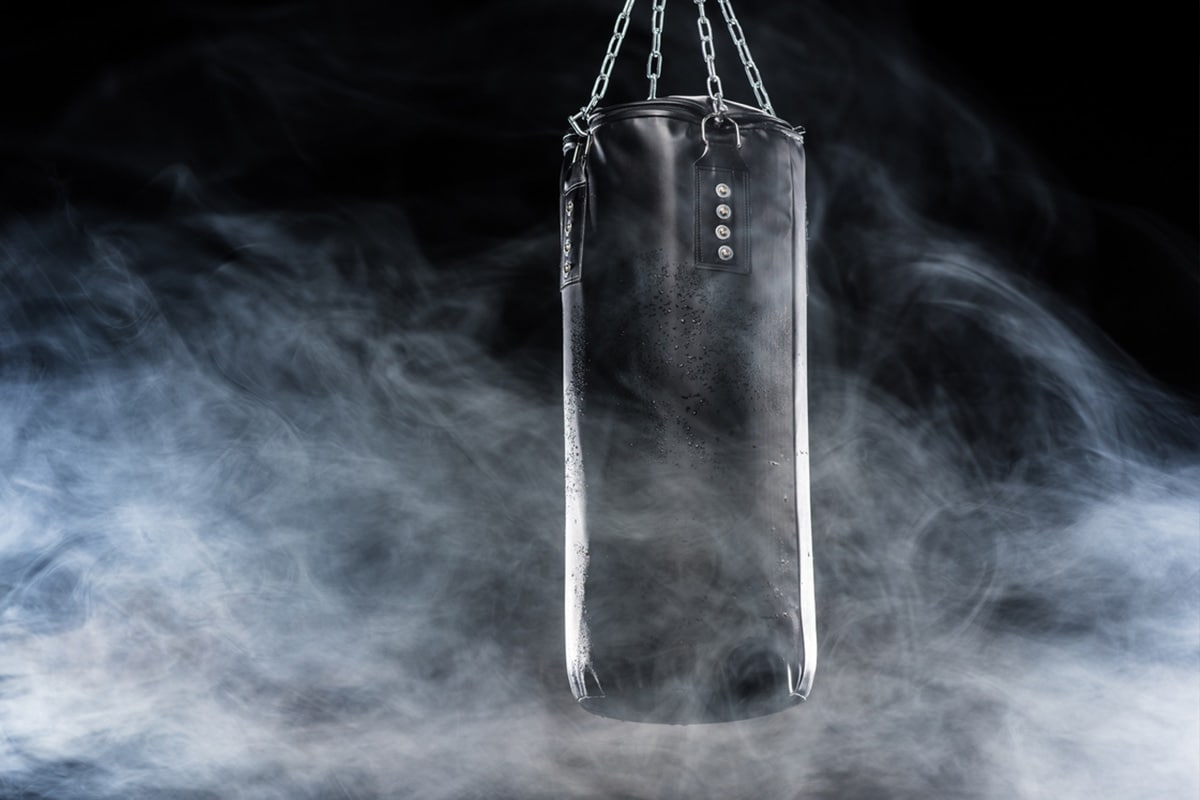 Dicks Punching Bag