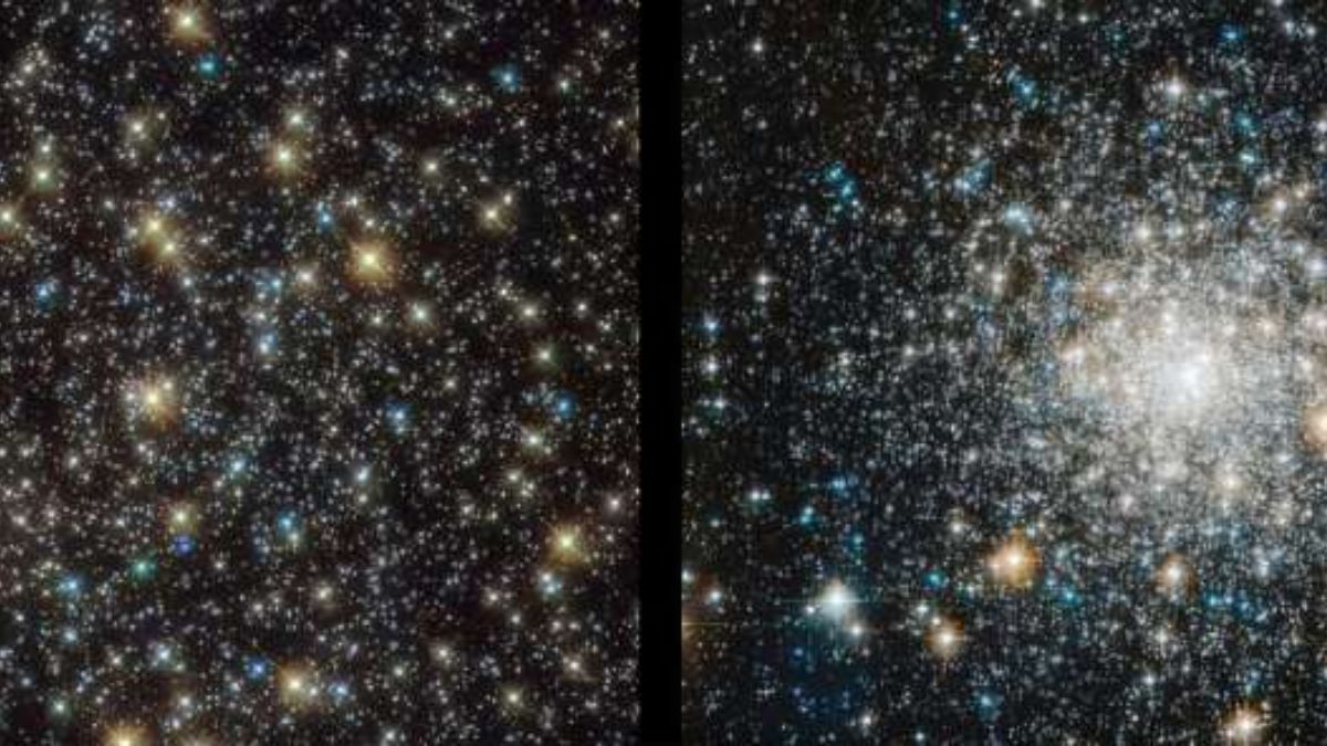 Hubble Reveals How Blue Straggler Stars Stay Young in Ancient Clusters