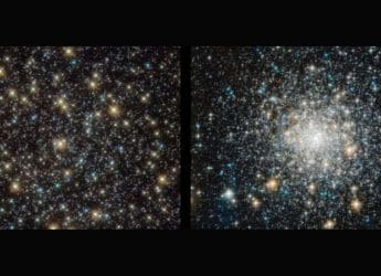 Hubble Reveals How Blue Straggler Stars Stay Young in Ancient Clusters