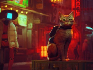 Stray Game Review: Nails Feline Experience, as Cat Jumps and Slinkers Through a Dystopian World