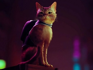 Stray Release Date Set for July 19, Coming to PS Plus Extra, Premium, and Deluxe