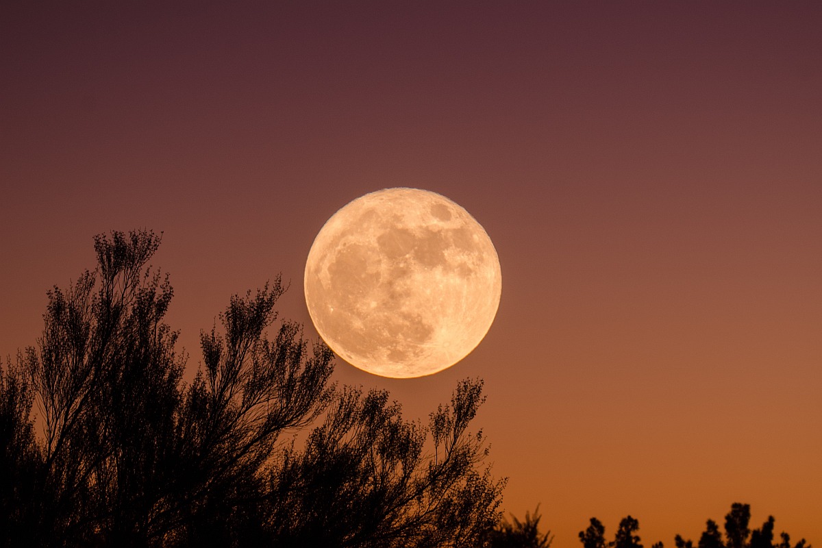 'Buck' Moon to Shine on July 13, Largest Supermoon of 2022; How to Watch Online