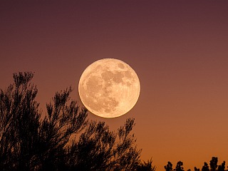 &#039;Buck&#039; Moon to Shine on July 13, Largest Supermoon of 2022; How to Watch Online
