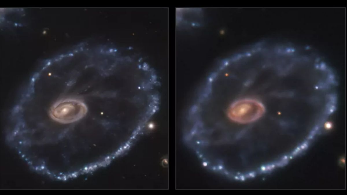 Scientists Confirm Type II Supernova in Cartwheel Galaxy. See Photo