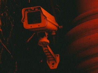 White House Proposes Tech &#039;Bill of Rights&#039; to Limit AI Harms