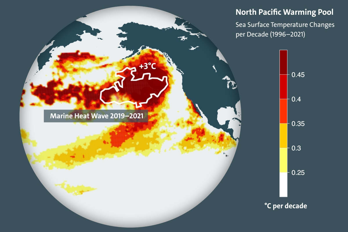 Human Activity Creates Systemic Warming Pool in the Pacific Ocean; Causing Loss of Aquatic Wildlife, Ecology