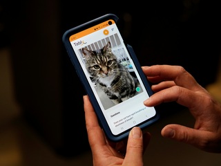 Feline Okay? Tably App Can Tell You if Your Cat&#039;s Happy