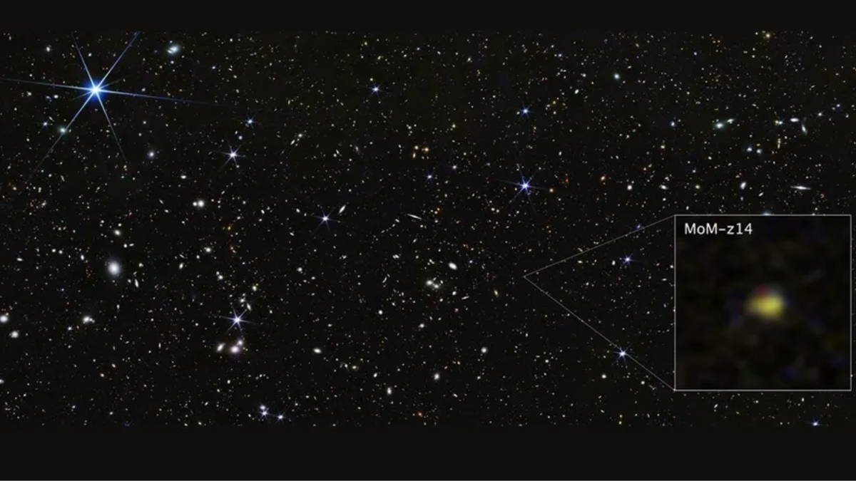 James Webb Telescope Discovers Most Distant Galaxy From Just 300 Million Years After the Big Bang