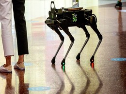 Robot Dog Hounds Thai Shoppers to Keep Hands Coronavirus-Free Robot Dog Hounds Thai Shoppers to Keep Hands Coronavirus-Free