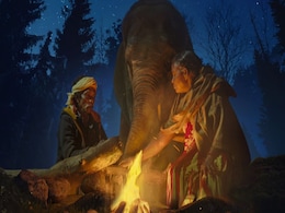 The Elephant Whisperers Release Date: Guneet Monga’s Heartfelt Documentary Out December 8 on Netflix The Elephant Whisperers Release Date: Guneet Monga’s Heartfelt Documentary Out December 8 on Netflix