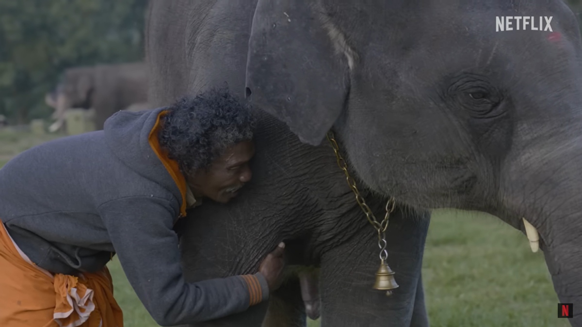 Oscar Winning Documentary 'The Elephant Whisperers' to Be Screened at Goa Environmental Film Festival