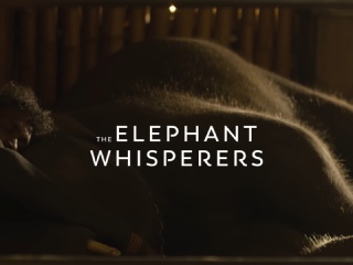 Oscar Winning Documentary &#039;The Elephant Whisperers&#039; to Be Screened at Goa Environmental Film Festival
