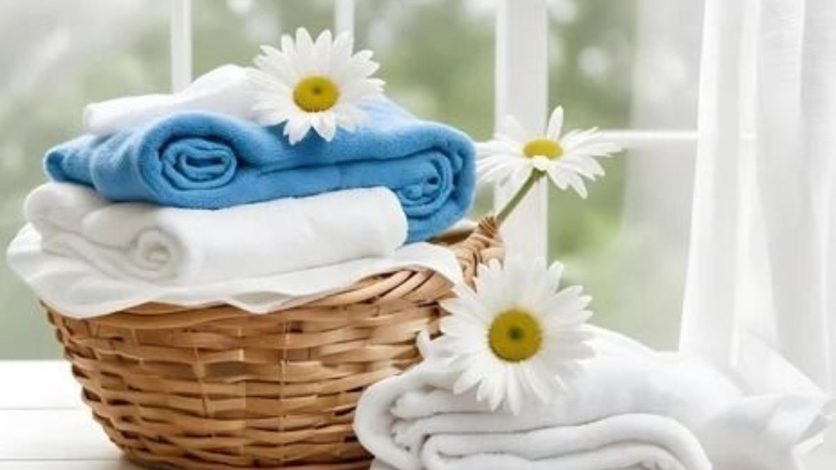 Best Laundry Essentials: Your Complete Guide to Myntra&#039;s Home Care Range
