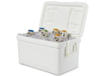 Top Portable Plastic Ice Box Containers To Keep Food And Drinks Cold for Hours