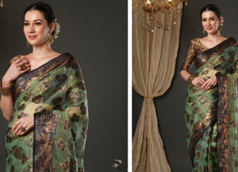 The Ultimate Guide to Festive Organza Sarees on Myntra Sale 2025