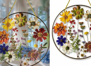 Myntra Diwali Sale 2025: Top Wall Hangings to Brighten Your Home Myntra Diwali Sale 2025: Top Wall Hangings to Brighten Your Home