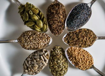 Best Edible Seeds: Crunchy Bites Packed With Protein For Healthy Diet