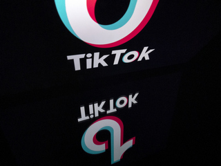 TikTok a &#039;Fundamentally Parasitic&#039; App, &#039;Actively Tell People&#039; Not to Install It: Reddit CEO Steve Huffman