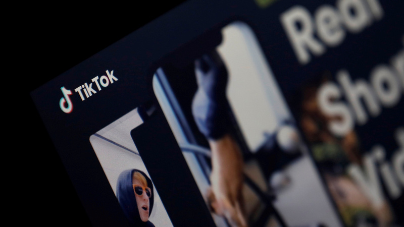 TikTok Ban: Madras High Court Directs Centre to Prohibit TikTok Downloads