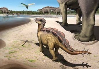 Cat-Sized Stegosaur&#039;s 6cm Long Footprints Found in China