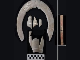 Tomb of Pharaoh Thutmose II Discovered After 100 Years in Egypt Tomb of Pharaoh Thutmose II Discovered After 100 Years in Egypt