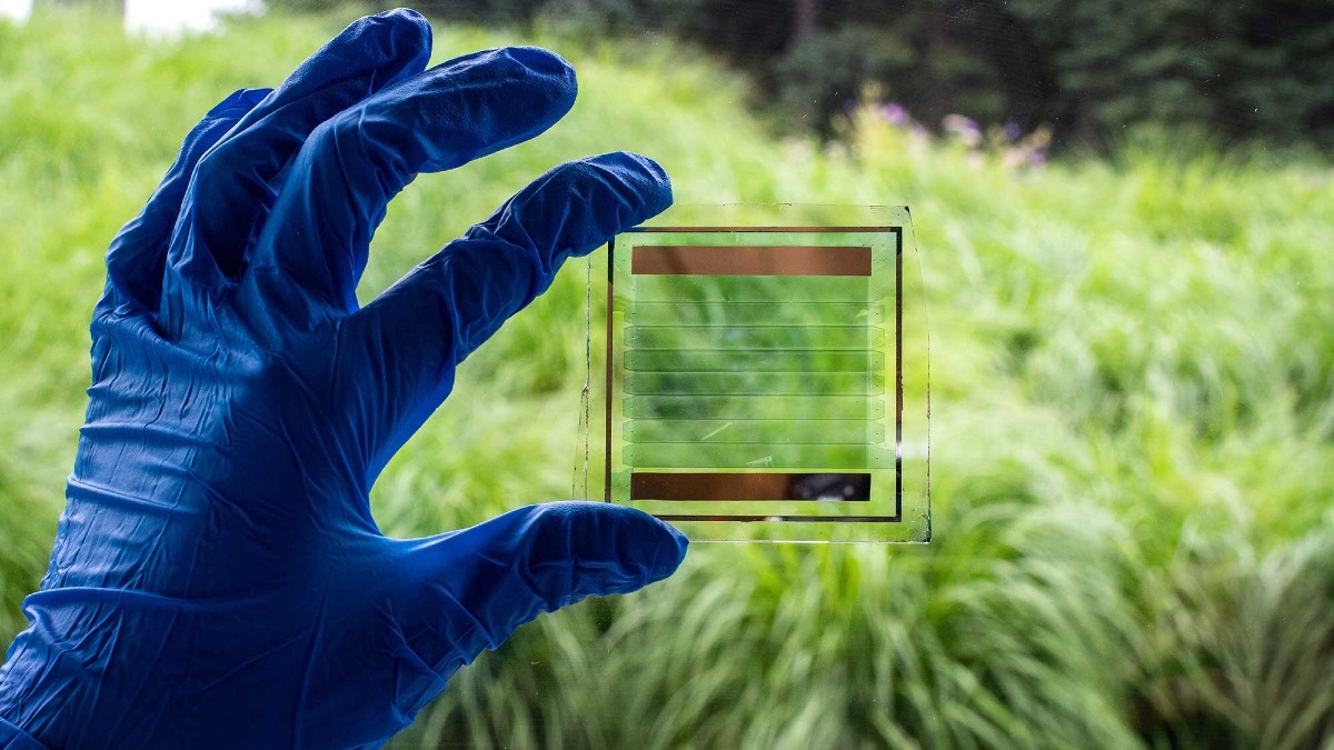 Scientists Develop Transparent Solar Panels That Can Be Used as Windows