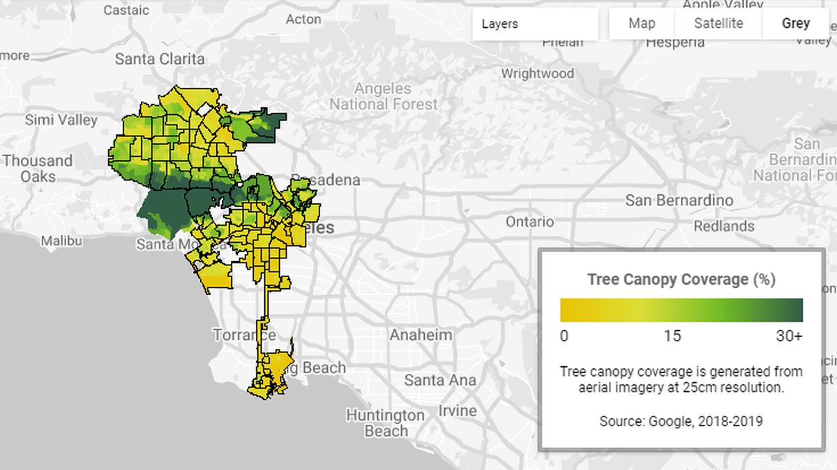 Google Tree Canopy Lab Tool Launches to Help Cities Plant More Trees