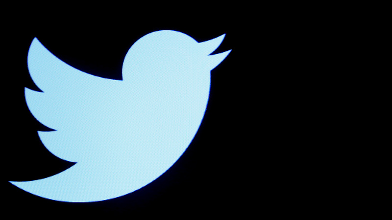 Twitter Limits Bulk Following to Thwart Spammers