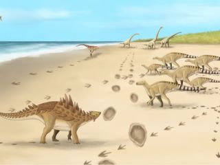 10 करोड़ साल पहले का डायनासोर मिला! पानी में तैरता था खूंखार शिकारी