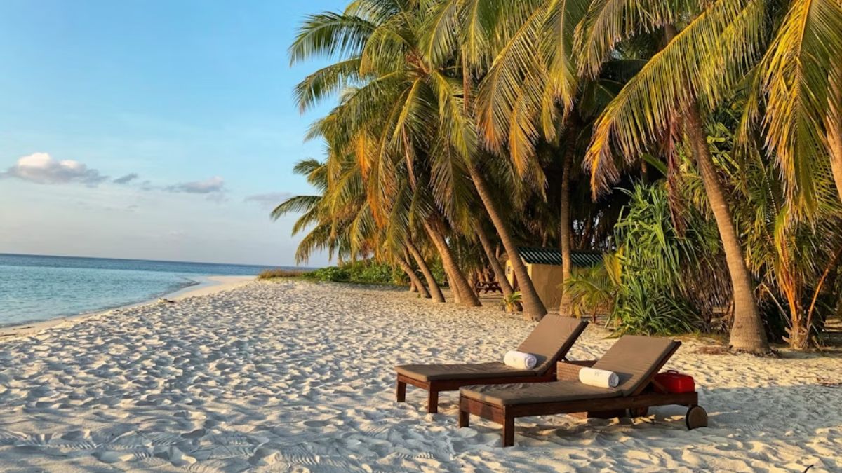 Independence Day 2025: Up to 50 Percent Discount on These Apps to Travel on Long Weekend