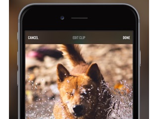 Free Video Editing Apps for Android and iPhone Anyone Can Use