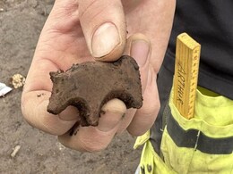 Viking Age Stone Figurine Discovered in Iceland, Experts Struggle to Identify the Animal Viking Age Stone Figurine Discovered in Iceland, Experts Struggle to Identify the Animal