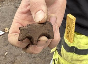 Viking Age Stone Figurine Discovered in Iceland, Experts Struggle to Identify the Animal