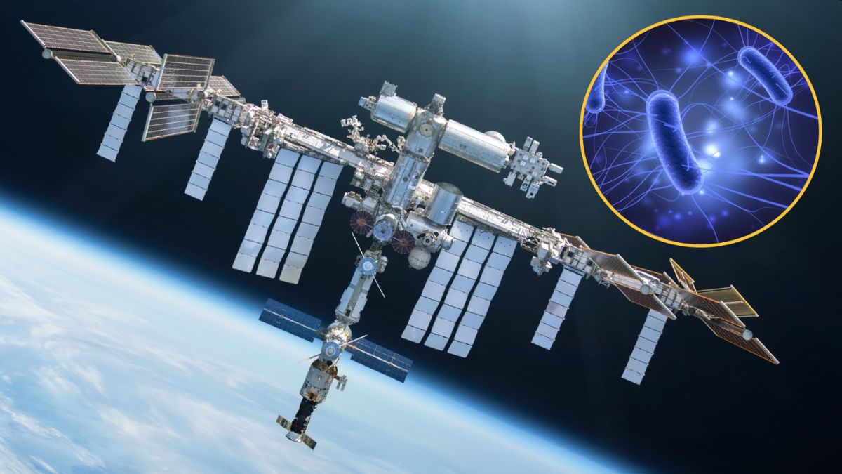 Viruses and Bacteria Evolve Differently in Space, ISS Study Finds