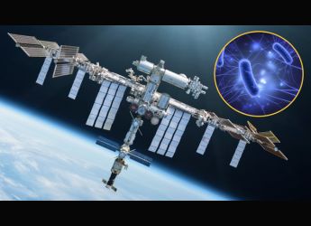 Viruses and Bacteria Evolve Differently in Space, ISS Study Finds