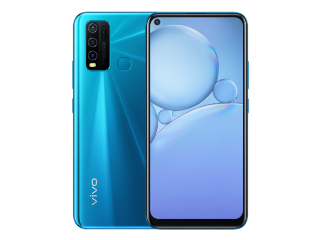 Vivo Y30 With Hole-Punch Display, 5,000mAh Battery Launched in India:  Price, Specifications, More