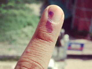 How to Check Voter ID Card Application Status Online