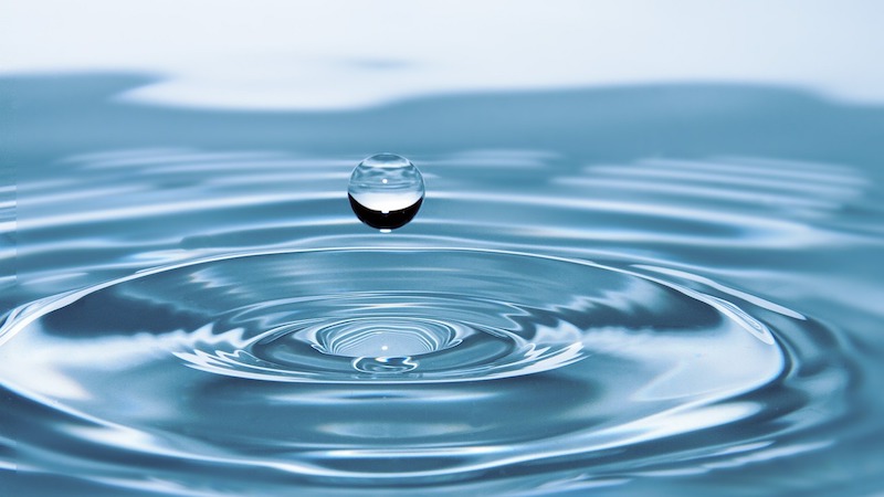 World Environment Day: These Simple, Eco-Friendly Practices Will Reduce Your Power, Water Bills and Help You Go Green